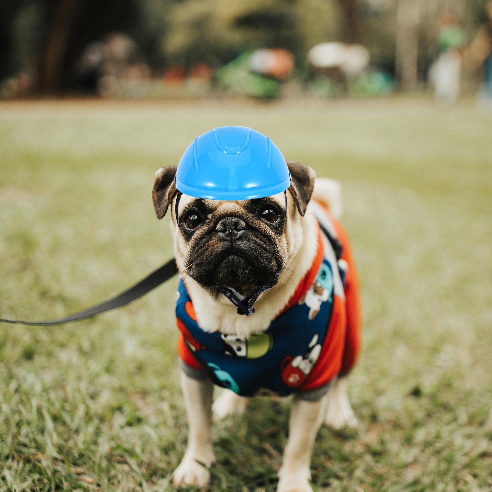 Small Dog Adjustable Protectiv - Motorcycle Gear Dogs avis et prix