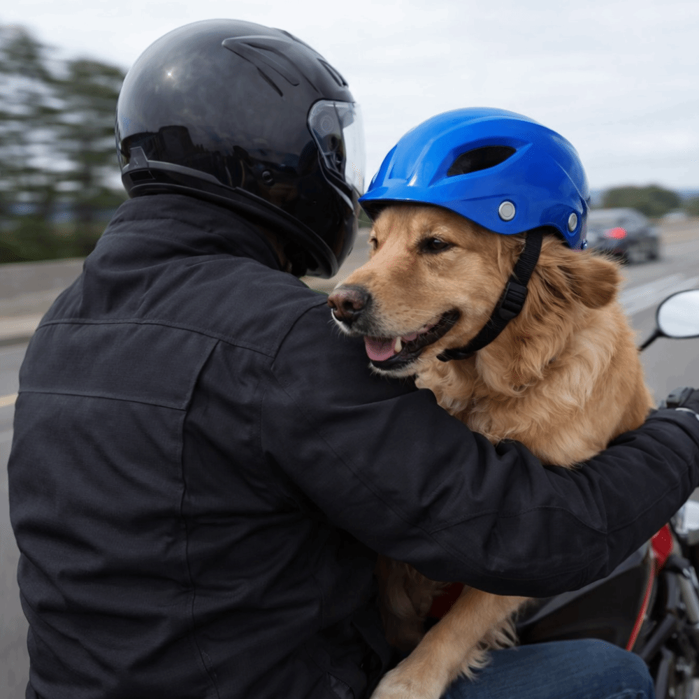 Pet Headgear Adjustable Dog He - Motorcycle Gear Dogs avis et prix