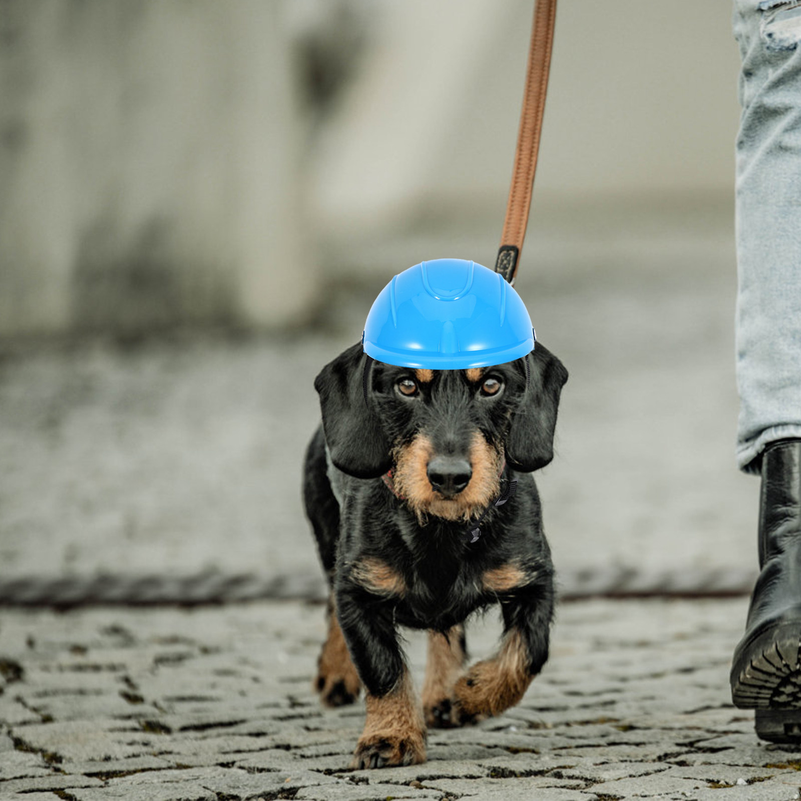 Small Dog Adjustable Pet Safet - Motorcycle Gear Dogs avis et prix