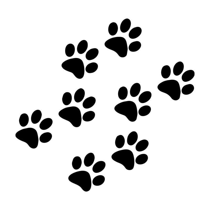 1pc Cat Paw Print Car Sticker  - Motorcycle Gear Auto avis et prix