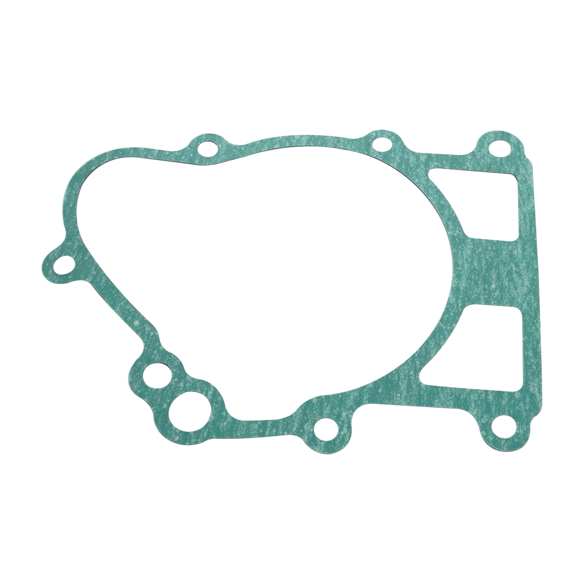 11009-1510 Motorcycle gear Cas - Motorcycle Gear Kawasaki avis et prix